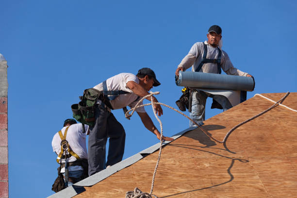Best Flat Roof Repair Services  in Leesburg, VA