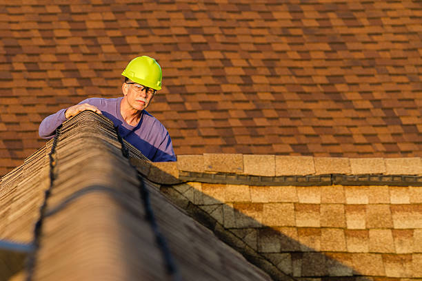 Roof Gutter Cleaning in Leesburg, VA
